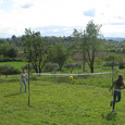 Play field